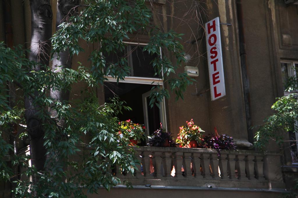 Hostel Sova Нови Сад Екстериор снимка